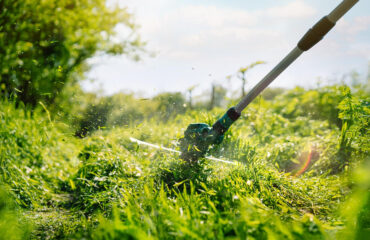 Curso Roçadeira Taludes Curso Roçadeira Taludes