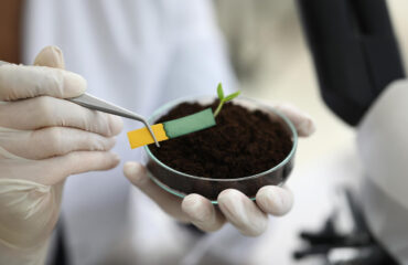 Análise Técnica do Solo Análise Técnica do Solo