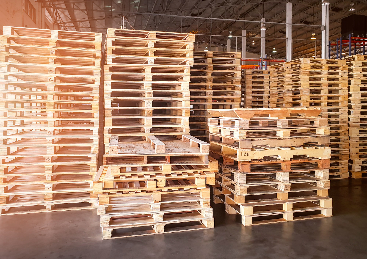 Pallets de madeira em um barracão industrial. - Curso Laudo de Pallets
