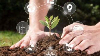 Com pequenas ações como o plantio de mudas, promovemos a sustentabilidade e o cuidado com o meio ambiente. Descubra como atitudes conscientes podem transformar o futuro em nosso curso! - Curso LAIA
