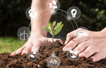 Com pequenas ações como o plantio de mudas, promovemos a sustentabilidade e o cuidado com o meio ambiente. Descubra como atitudes conscientes podem transformar o futuro em nosso curso! Com pequenas ações como o plantio de mudas, promovemos a sustentabilidade e o cuidado com o meio ambiente. Descubra como atitudes conscientes podem transformar o futuro em nosso curso! - Curso LAIA