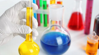 Curso Análise Sensorial Avançado