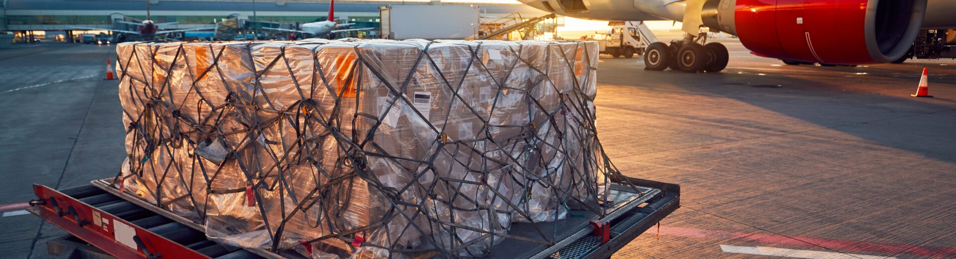 Palete aéreo pronto para embarque: a correta rotulagem, embalagem e fixação de cargas perigosas são exigências mandatórias da IATA para garantir segurança durante o voo e conformidade internacional.