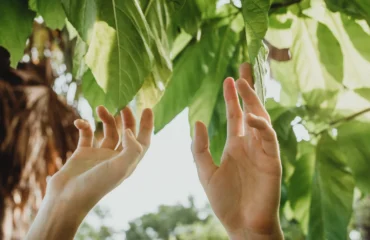 Passivos Ambientais Passivos Ambientais