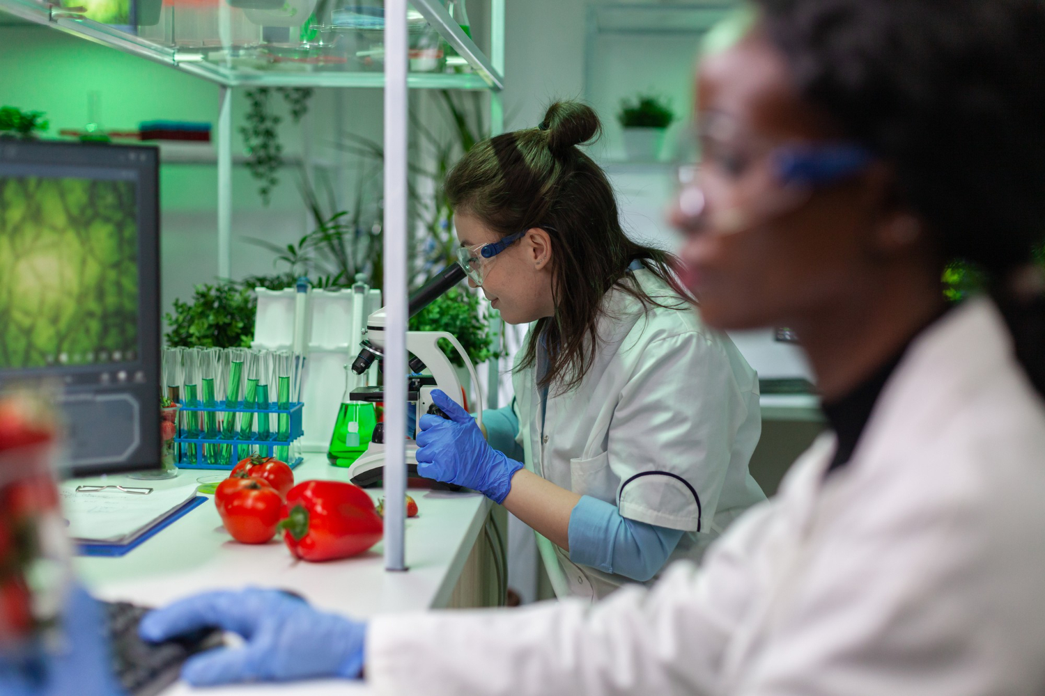 Ensaios complementares entre análise sensorial e físico-química de alimentos. O julgamento técnico só se torna completo quando cruzamos percepções humanas validadas com dados laboratoriais rastreáveis. Sentir e medir: a equação da conformidade plena.