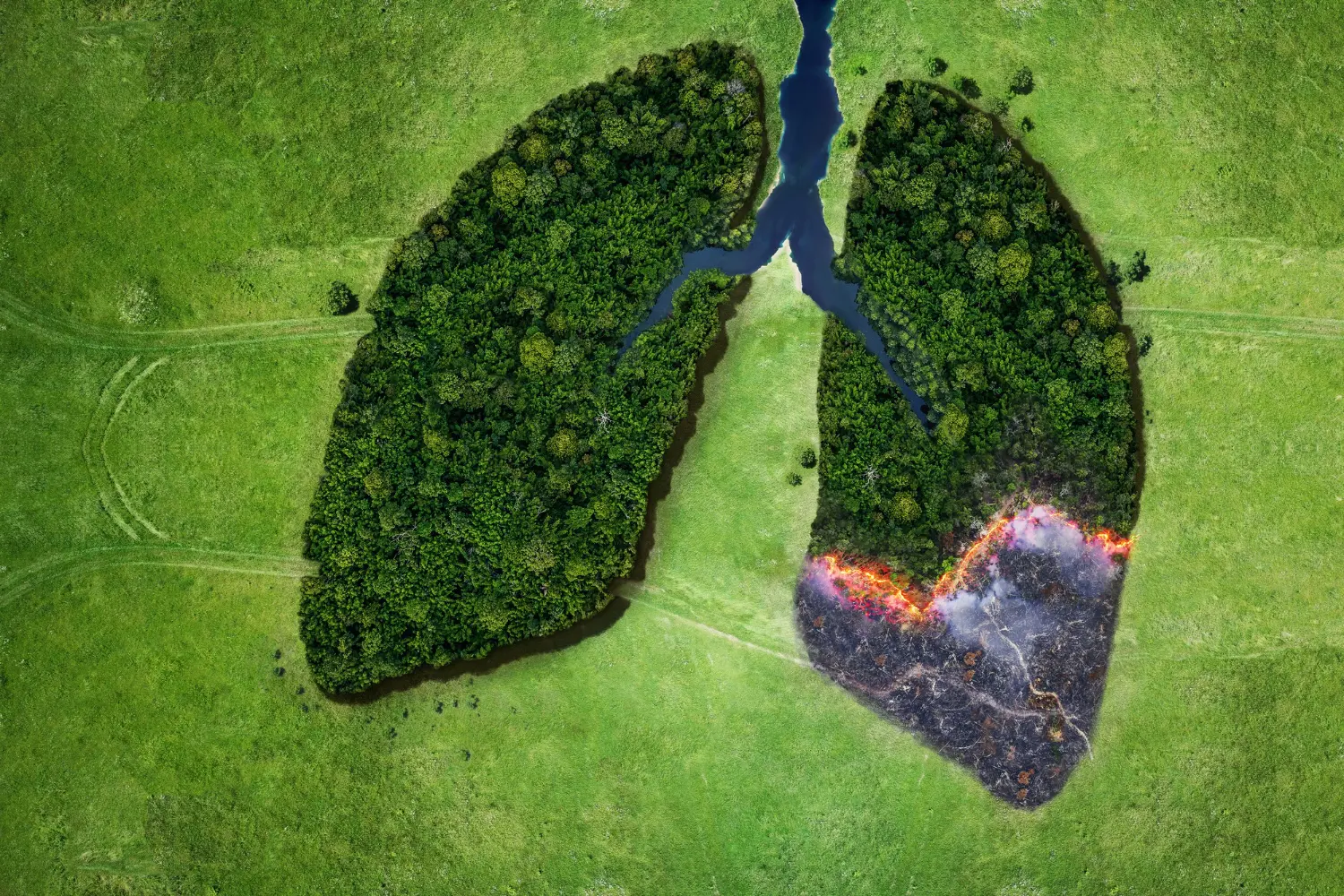 Passivo ambiental é o colapso silencioso que consome nossos próprios pulmões verdes. Onde há fogo hoje, houve omissão ontem.