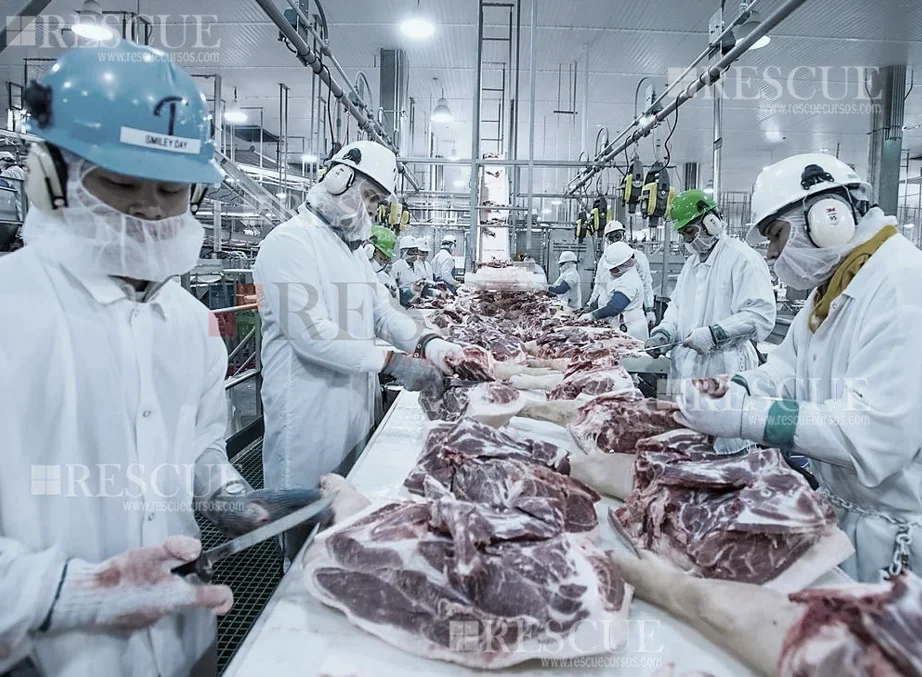 3602 - Treinamento Periódico na Indústria de Abate e Processamento de Carnes e Derivados