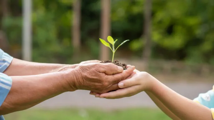Licenciamento Ambiental