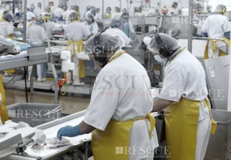 3604 - Treinamento do Programa de Conservação Auditiva – Trabalhadores Expostos a Níveis de Pressão Sonora Acima dos Níveis de Ação na Indústria de Abate e Processamento de Carnes e Derivados