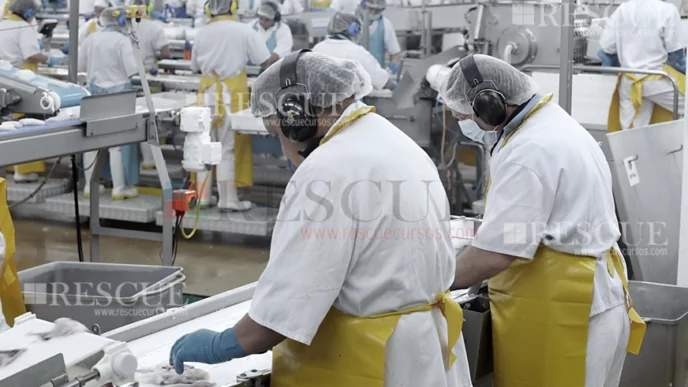 3604 - Treinamento do Programa de Conservação Auditiva – Trabalhadores Expostos a Níveis de Pressão Sonora Acima dos Níveis de Ação na Indústria de Abate e Processamento de Carnes e Derivados