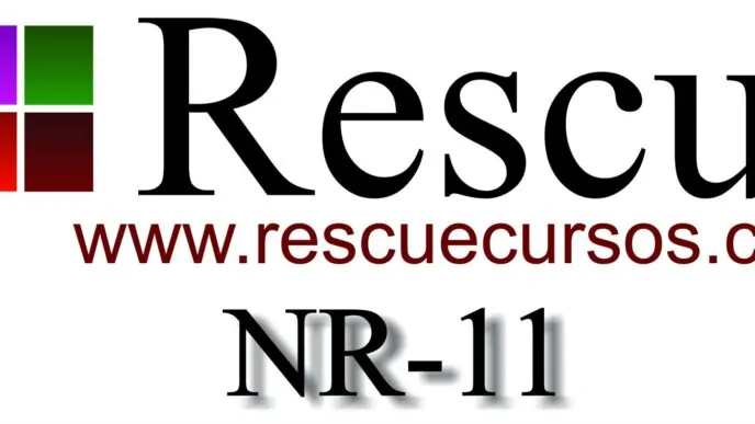 NR-11