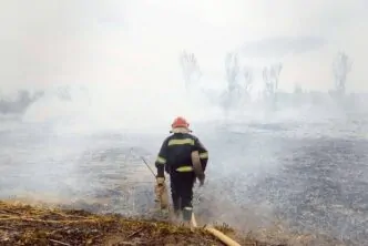 NFPA 1977 – Incêndio Florestal