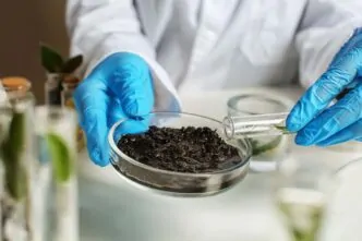 Laudo Coeficiente Permeabilidade em Solos Argilosos