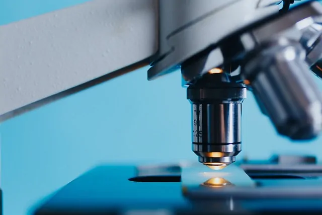  - Laudo Microbiologia Alimentos Consumo