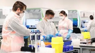 Laudo das Condições Sanitárias