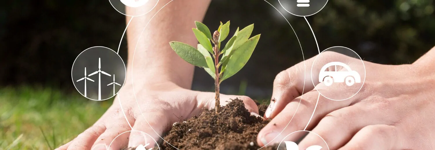 Com pequenas ações como o plantio de mudas, promovemos a sustentabilidade e o cuidado com o meio ambiente. Descubra como atitudes conscientes podem transformar o futuro em nosso curso! - Curso LAIA