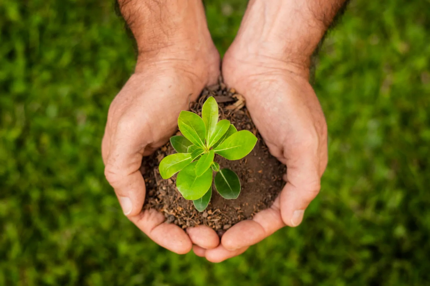 No LAIA (Levantamento de Aspectos e Impactos Ambientais), cada ação importa. Aprenda a identificar e minimizar os impactos ambientais com práticas que promovem a sustentabilidade e preservam o meio ambiente para as futuras gerações. - Curso LAIA