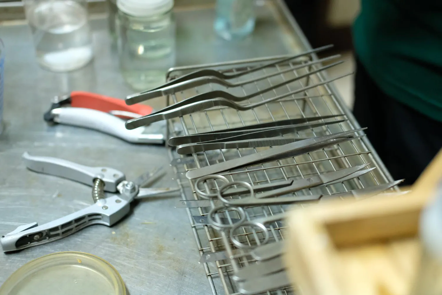 Conjunto de pinças e tesouras em aço inoxidável após processo de limpeza e inspeção. A qualidade da superfície metálica influencia diretamente na esterilização, durabilidade e segurança do uso clínico. - Curso Decapagem Passivação Inox.